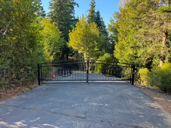 Black ornamental iron double swing driveway gate with tree design, wooded rural driveway